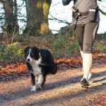 TRIXIE HEUPRIEM MET JOGGINGLIJN ZWART - Image 2