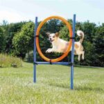 TRIXIE DOG ACTIVITY AGILITY RING BLAUW / ORANJE