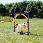 TRIXIE DOG ACTIVITY AGILITY RING BLAUW / ORANJE – Image 2