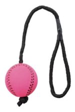 TRIXIE SPORTBAL AAN TOUW SCHUIMRUBBER DRIJVEND ASSORTI - Image 2