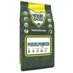 YOURDOG POEDELPOINTER PUP