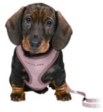 TRIXIE JUNIOR PUPPYTUIG SOFT MET RIEM LILA - Image 2