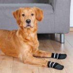 TRIXIE HONDENSOKKEN ANTI-SLIP MET RUBBERLAAG RONDOM ZWART - Image 2