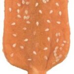 TRIXIE DENTA FUN CHICKEN POPS MET SESAM