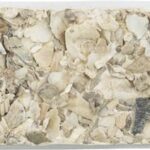 TRIXIE PIKSTEEN MET SCHELPEN MINERALEN EN MOSSELEN
