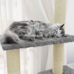 Kattenmeubel met sisal krabpalen 155 cm lichtgrijs – Image 3