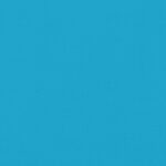 Hondenfietstrailer oxford stof en ijzer blauw - Afbeelding 11