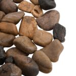 Kiezelstenen gepolijst 2-5 cm 10 kg meerkleurig – Image 3