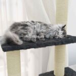 Kattenmeubel met sisal krabpalen 155 cm donkergrijs – Image 4
