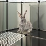 Dierenhok klein 143x107x93 polypropeen en staal zwart - Image 8