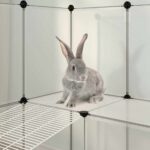 Dierenhok klein 142x74x93 cm polypropeen en staal transparant - Image 8