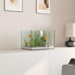 Aquarium met opslag Doorzichtig 30 x 20 x 20 cm Glas - Afbeelding 4