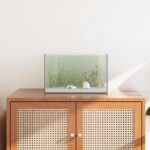 Aquarium met opslag Doorzichtig 40 x 25 x 25 cm Glas