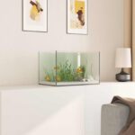 Aquarium met opslag Doorzichtig 40 x 25 x 25 cm Glas - Afbeelding 4